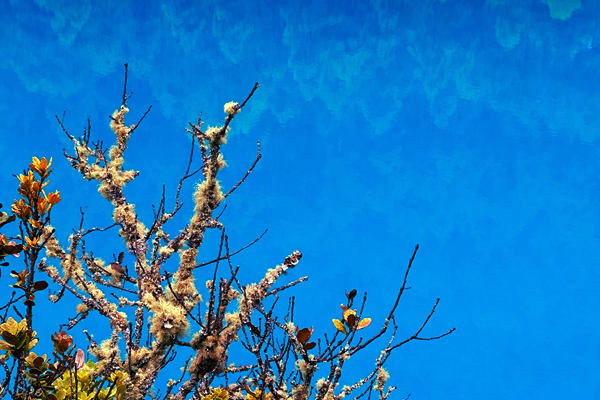 生態環境部部長黃潤秋出席COP30“中國角”系列邊會活動并會見外方高級代表