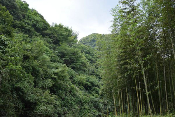 衡水市繪就“藍天碧水凈土”新畫卷